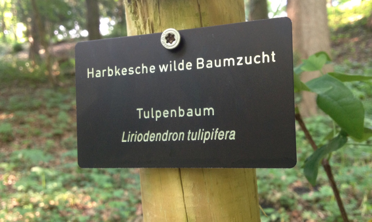 bild15.jpg