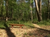 bild13.jpg