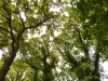 bild20.jpg